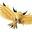 Zapdos2_small